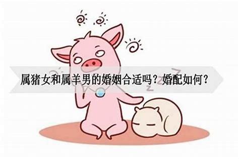 兔男豬女|兔和猪相配婚姻如何 属兔和属猪的婚姻怎么样